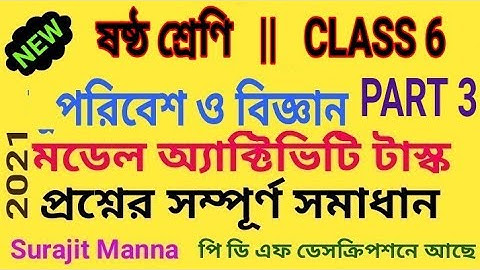 মডেল অ্যাক্টিভিটি টাস্ক,পার্ট ৩|ষষ্ঠ শ্রেণী|পরিবেশ ও বিজ্ঞান|Model Activity Task-3|Class 6|WBBSE2021