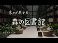 森の図書館で癒される BGM | Study Meditation | 作業 勉強 まどろみ時間