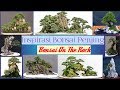 Inspirasi bonsai penjing dan on the rock