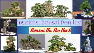 Inspirasi bonsai penjing dan on the rock