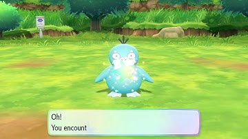 Shiny Psyduck in Let