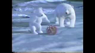 1997 Coca Cola Polar Bear Christmas Commercial