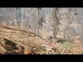 Far cry primal,chill