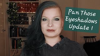 Pan Those Eyeshadows 2026 | Update 1