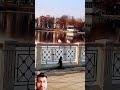 बिल्ली ओर तोता दोनो कैसे लड़ाई कर रहा है #funny #catvideos #animals