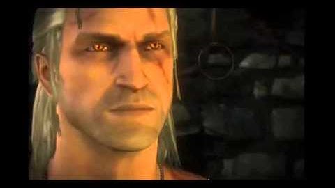 The Witcher 2 Assassin