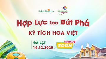 Kỳ Tích Hoa Việt: Hành Trình Hợp Lực Tạo Bứt Phá