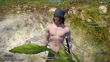 FFXIV 2.55 Quests - An Unexpected Ambition