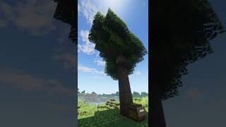 How To Make A Tree Swing In Minecraft! 🌳 #shorts