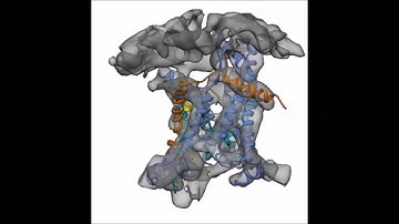 Structure of the native Sec61 protein-conducting channel