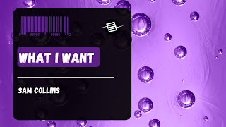 Sam Collins - What I Want (Extended Mix)