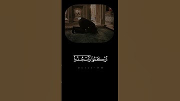 عبد الرحمن مسعد | ياأيها الذين آمنوا اركعوا واسجدوا واعبدوا ربكم #سورة_الحج #قرآن #راحة_نفسية