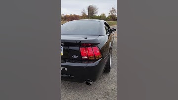 2001 Procharged Cobra Rev #automobile #terminator #fordcars #cobra #fast #mustangcobra #fordmustang