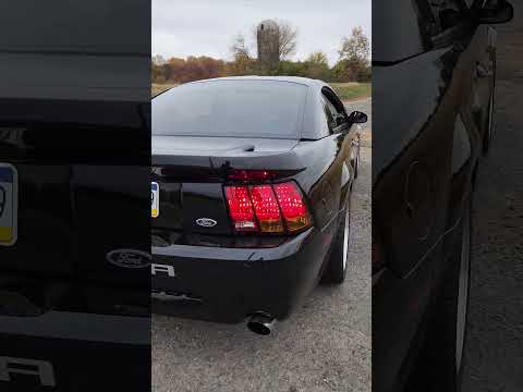 2001 Procharged Cobra Rev Automobile Terminator Fordcars Cobra Fast Mustangcobra Fordmustang