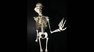 moving skeleton
