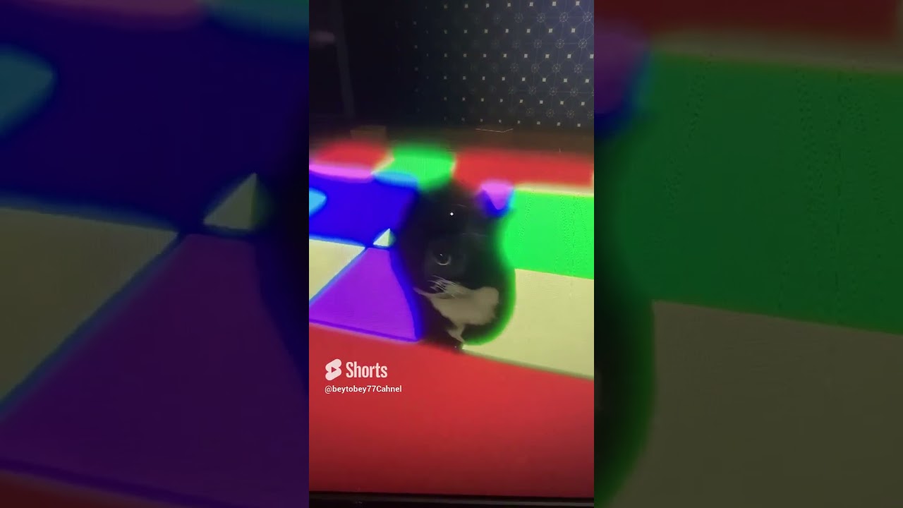 Maxwell disco music