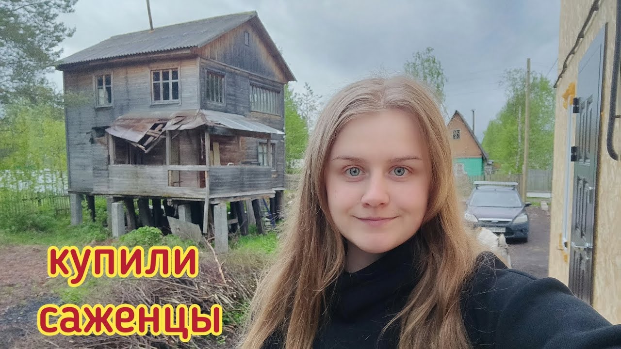 Ильины влог на дзен новое