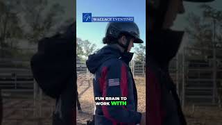 Exciting Journey: Nurturing Our Young Athlete's Potential  #horse #mustanghorse #equestrian