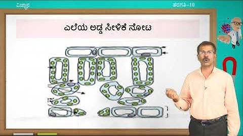 Samveda - 10th - Science - Jeeva Kriyegalu (Part 2 of 5) - Day 17