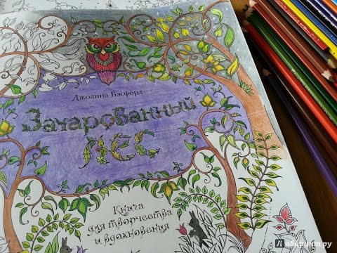 Обзор на книгу-раскраску!//первое видео 2016//Зачарованный лес