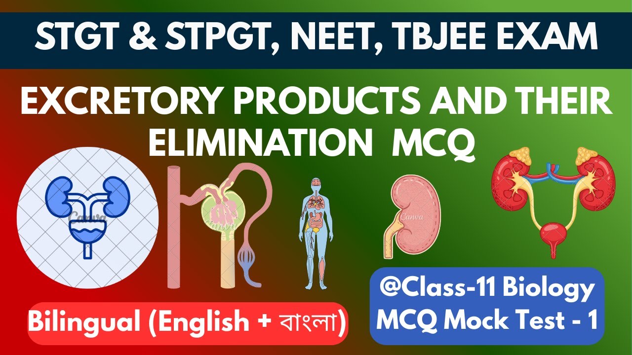 Excretory System MCQ | STGT/STPGT Biological Science | NEET & AIIMS | Mock Test 1 | 30 Important MCQ