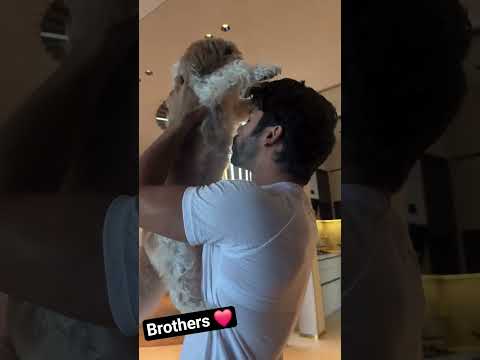 Best Brothers Siddharth Nigam Wasooli Siddharthnigam Vibhanigam Shorts Abhisheknigam