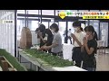 あの日を忘れない...「水没した」野村町の小学生 「教訓と復興」学ぶ【愛媛】 (23/07/07 18:50)