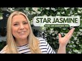 Star Jasmine Care &amp; Growing Tips