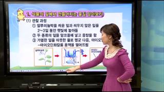 초등 과학 개념잡기 - 03강 식물 이야기2   _#003