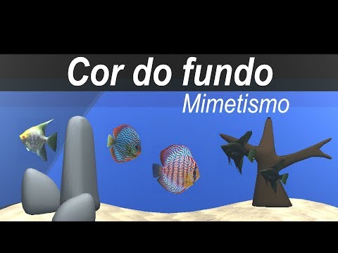 Vídeo: Mimetismo No Lago Branco