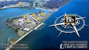 Setting up your course Blackboard for easy navigation