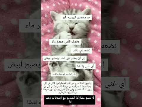 علاج إسهال القطط في المنزل علاج منزلي فعال لإسهال القطط  قطط