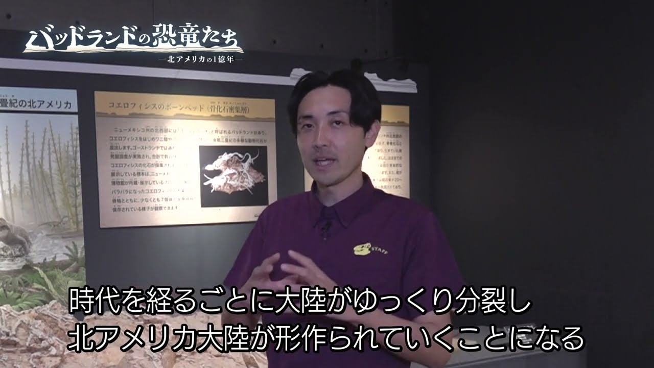 漢陽大学校博物館 収蔵 遺物選 zip（あらゆる戦争に反対） on X: 