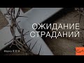 Марка 10:32-34. Ожидание страданий | Андрей Вовк | Слово Истины