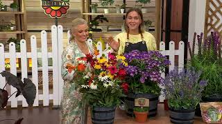 Roberta's 8pc Perennial Pollinator Garden By Sandra on QVC