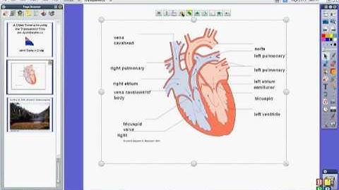 ActivInspire (How to use transparency)