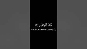 كرومات سوداء _ يوسف عيد _ سورة التين #تلاوات #فيه_شفاء_للناس #تلاوة_خاشعة