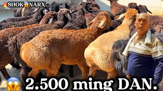 😱 2.500 ming DAN 🔥 400 bosh DAXSHAT 💥 SHARP TOGAGA KATTA PARTIYA KELDI.