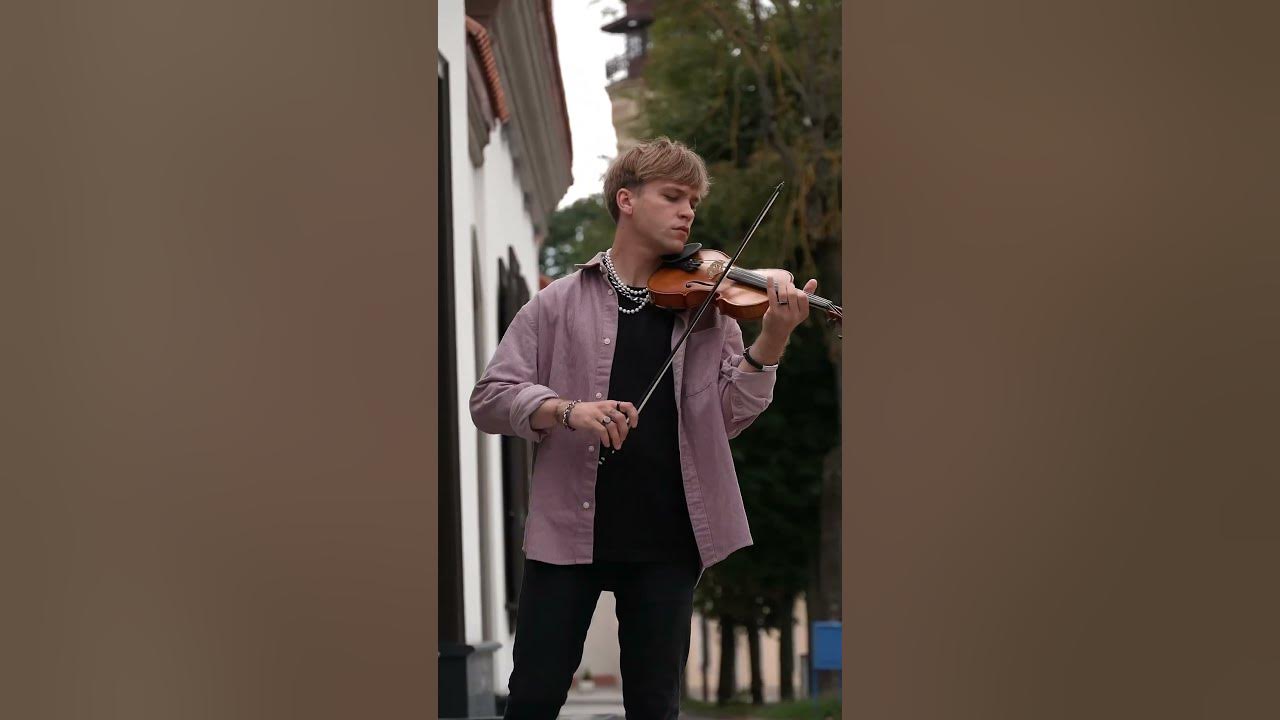 Blue Bird - Naruto OST - Zotov violin cover