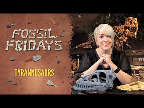 Fossil Fridays |