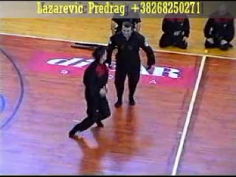 bujinkan montenegro Lazarevic Predrag