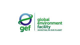 What is the GEF?