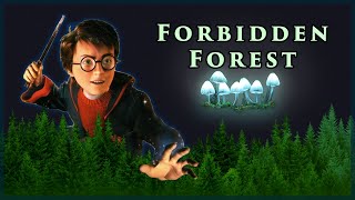 100% Harry Potter Chamber Of Secrets Playthrough Gc Forbidden Forest Challenge