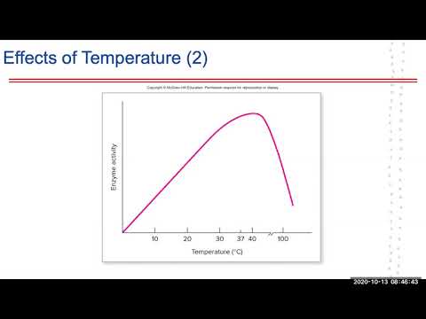 Lab 7: Digestive Enzymes - YouTube