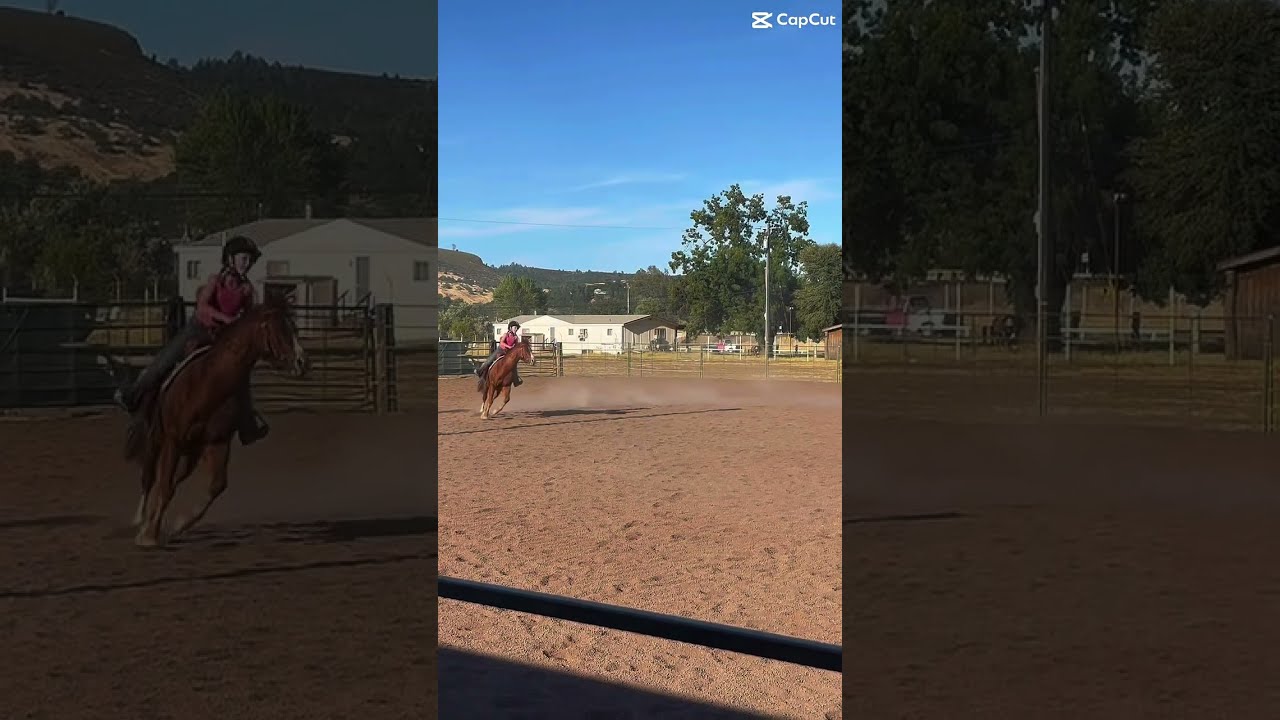  Horse Equestrianjourney Horseenthusiast Rodeo Horsetrack Horsefan Equestrian Cowgirl