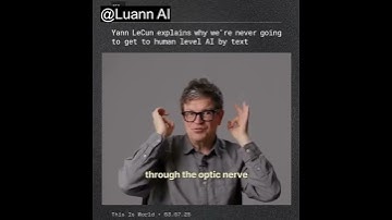Chief Al Scientist at Meta, Yann LeCun, believes we