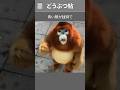 顔の青みが増したら、それは危険のサインです