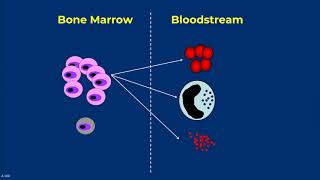 RARE Drug Development Symposium: Advances in Rare Disease Therapies