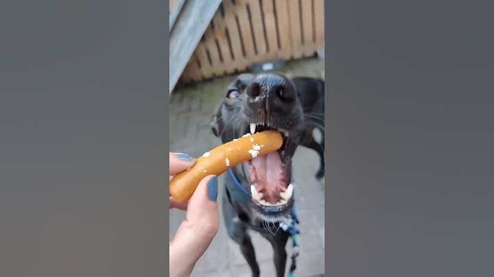 Nie podawaj tego swojemu psu! #dog #food