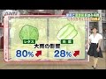野菜が高騰　白菜、ナス、キュウリ・・・今いくら？(14/08/26)